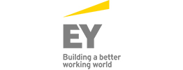 E & Y (Ernst and Young), Delhi